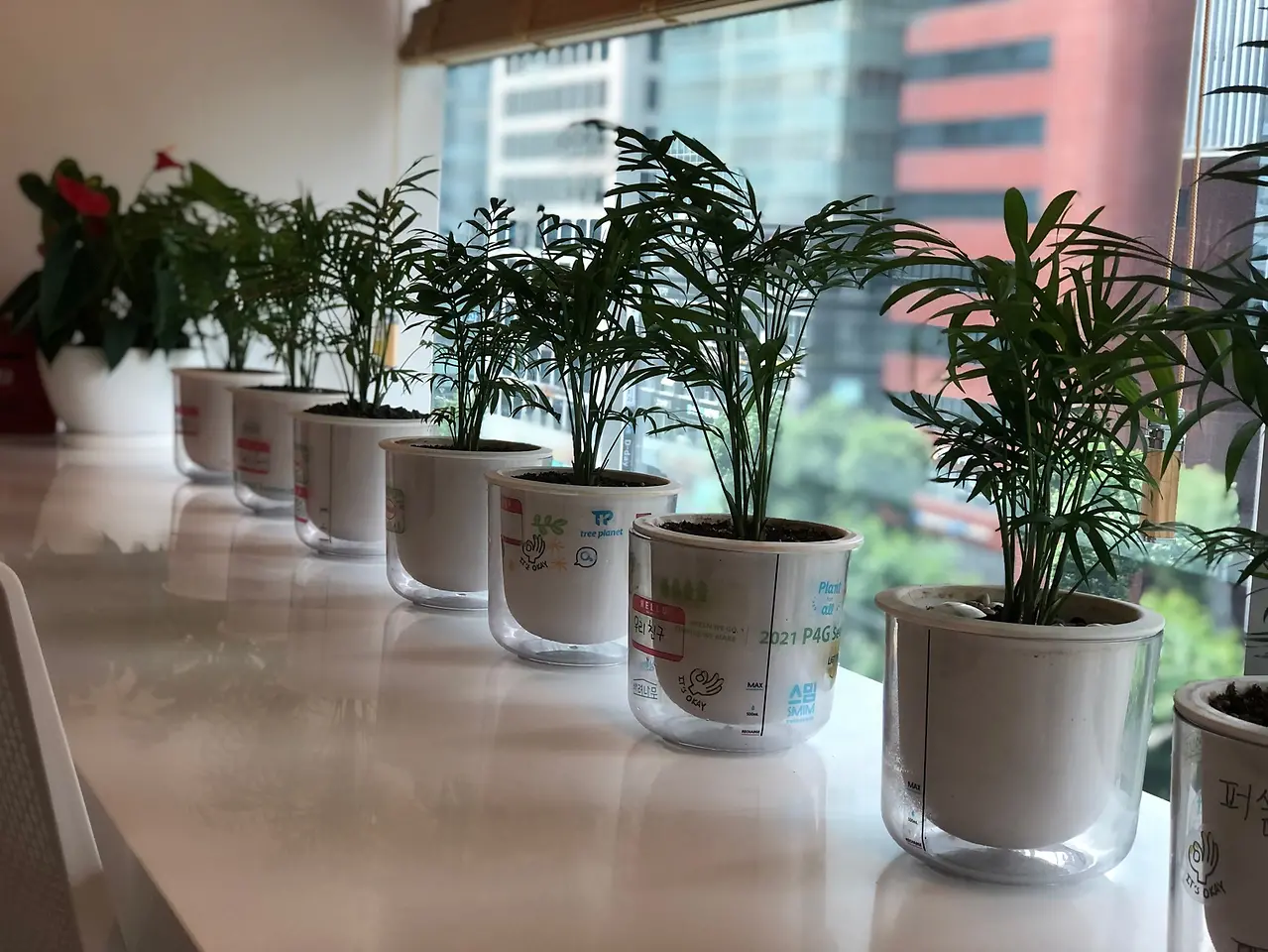 헨켈코리아, 비대면 사회공헌활동 전개 임직원이 가꾼 공기정화 반려나무 지역 아동시설에 기부