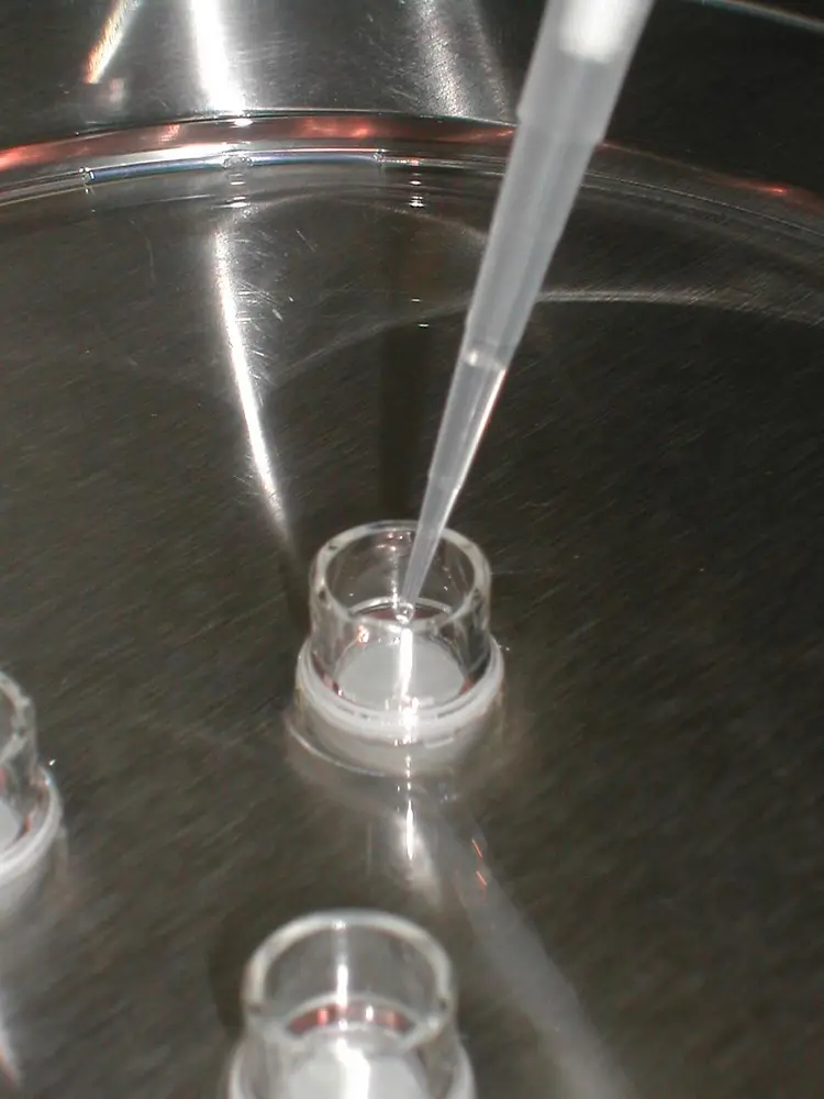 Anstelle von Tierversuchen werden beim neuen Ansatz von Henkel dreidimensionale Modelle der menschlichen Haut verwendet