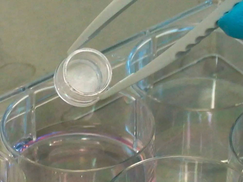 Tierversuchsfreie Sicherheitsprüfungen