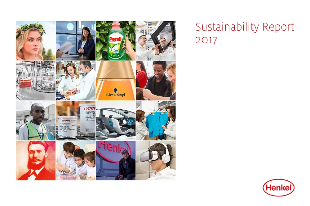 지속가능성장 보고서 2017